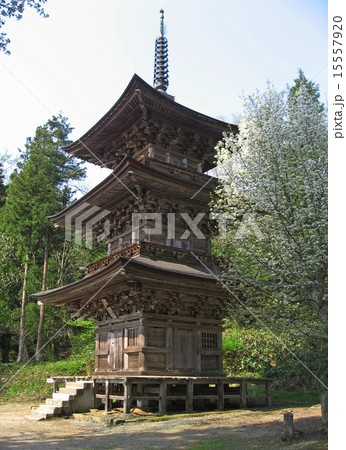 法用寺の三重の塔 15557920