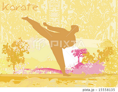 karate man silhouette Grunge poster karate man silhouette Grunge poster 15558135