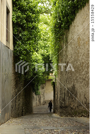 イタリア 15558429