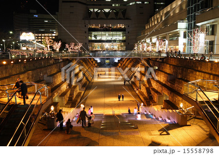 横浜 ドックヤードガーデン 横浜 ドックヤードガーデン 15558798