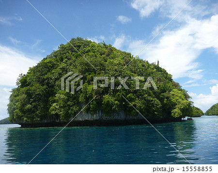 サンゴ礁の島 パラオ サンゴ礁の島 パラオ 15558855