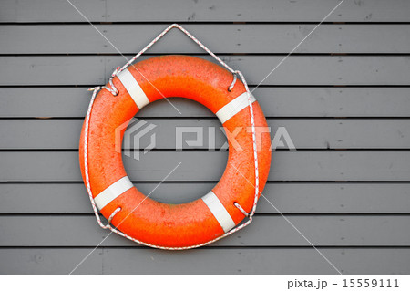 Red lifebuoy hanging on gray wooden wall 15559111