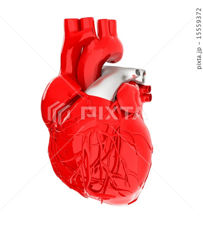 Human heart 15559372