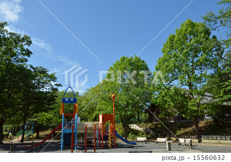 美しが丘公園 15560632