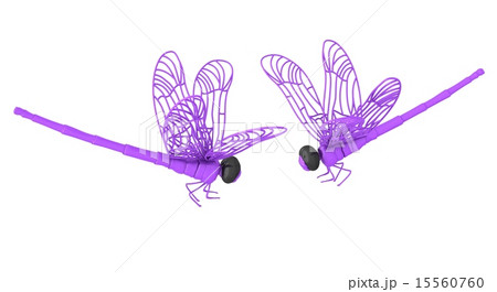 Dragonfly Dragonfly 15560760