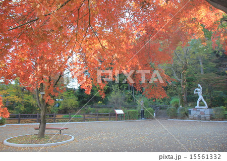 片倉城跡公園 15561332