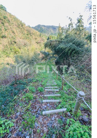 春の石見銀山のシュート場跡の風景 15561713