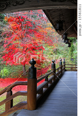 福満虚空蔵尊円蔵寺 福満虚空蔵尊円蔵寺 15561811