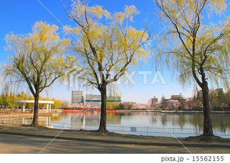 開成山公園 15562155