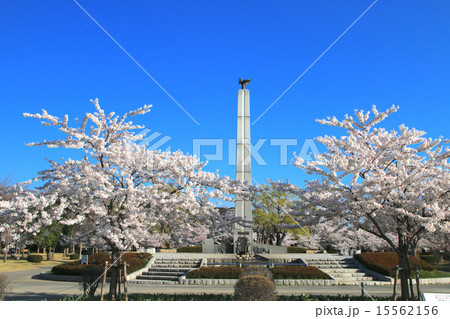 開成山公園 15562156