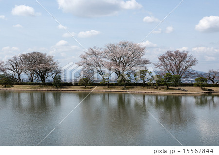 修学院離宮　上離宮の西浜 15562844
