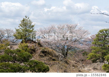 修学院離宮　上離宮の西浜 15562846