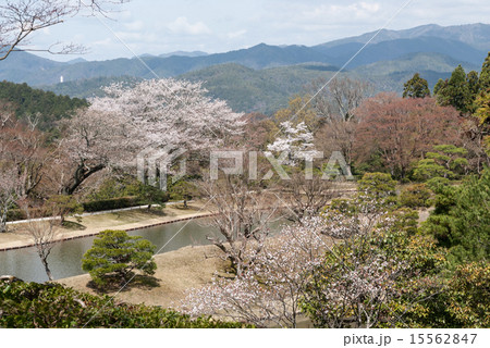 修学院離宮　上離宮の西浜 15562847