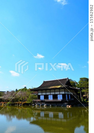 京都 平安神宮の日本庭園 京都 平安神宮の日本庭園 15562982