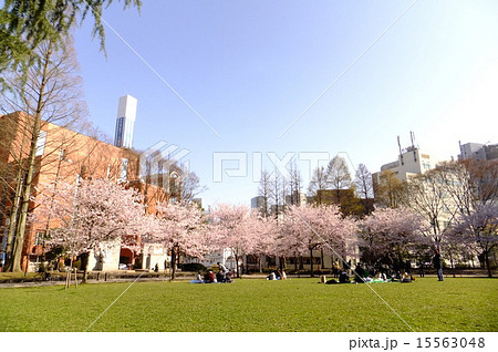 仙台錦町公園 仙台錦町公園 15563048