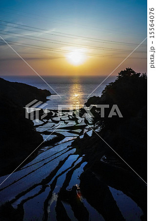佐賀県 浜野浦の棚田 佐賀県 浜野浦の棚田 15564076