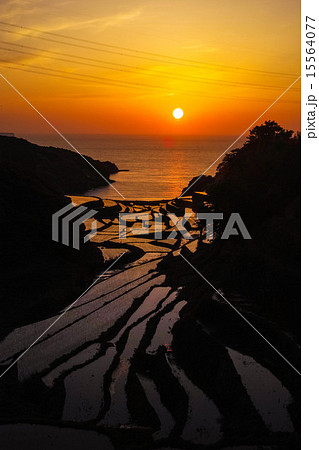 佐賀県　浜野浦の棚田 15564077