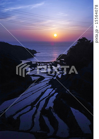 佐賀県　浜野浦の棚田 15564078