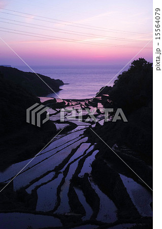 佐賀県 浜野浦の棚田 佐賀県 浜野浦の棚田 15564079