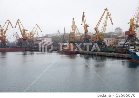 Cargo cranes, Odessa sea port Cargo cranes, Odessa sea port 15565070