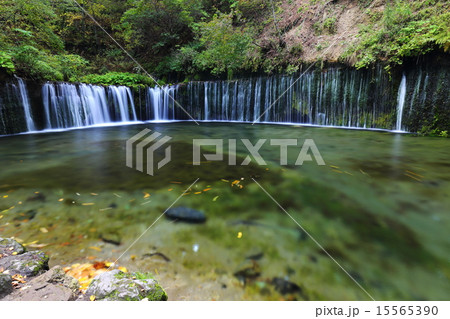軽井沢 白糸の滝 軽井沢 白糸の滝 15565390