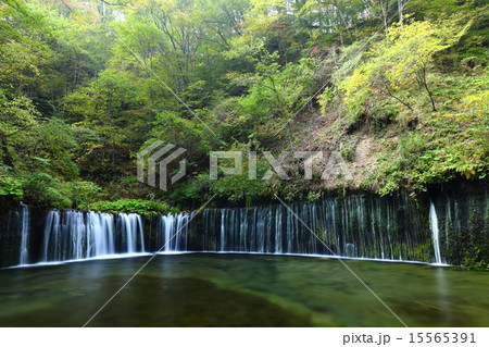 軽井沢　白糸の滝 15565391