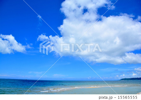 沖縄　大宜味村の海 15565555