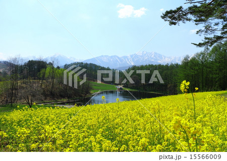 中山高原 2015春 中山高原 2015春 15566009