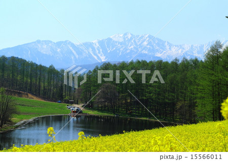 中山高原　2015春 15566011