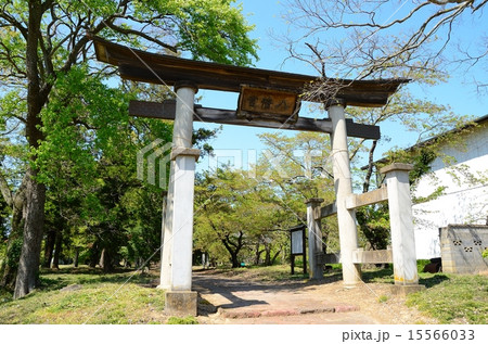 春の梁川八幡宮　鳥居 15566033