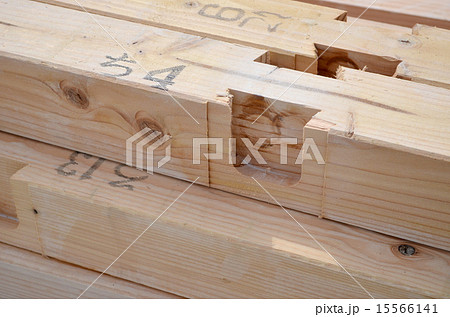 あり継ぎ 15566141