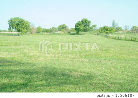 渡良瀬遊水地 渡良瀬遊水地 15566187