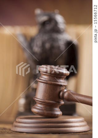 Law concept, owl in a judge gavel concept 15566712