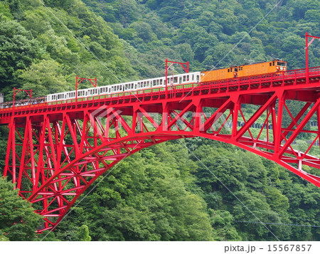 新緑のトロッコ列車 15567857