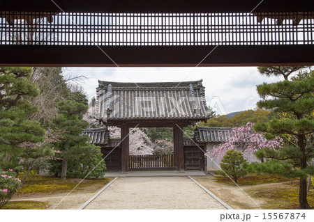 随心院、表玄関からの眺め 随心院、表玄関からの眺め 15567874
