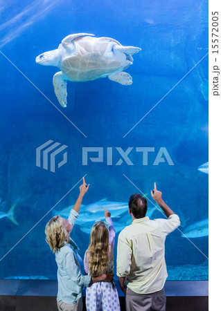 Happy family pointing at turtle in a tank 15572005