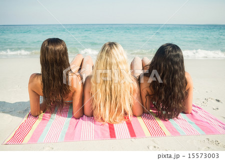group of friends in swimsuits group of friends in swimsuits 15573003