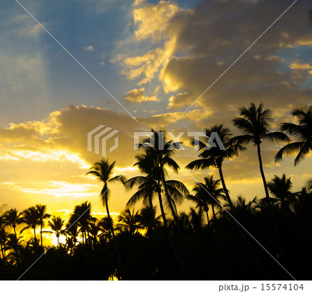 sunset 15574104