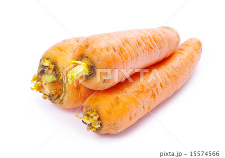 carrots 15574566