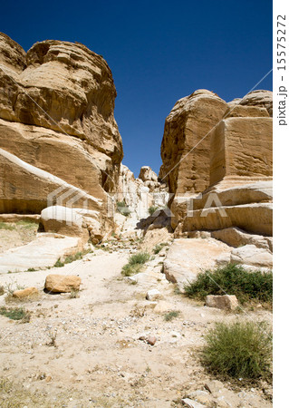 Petra in Jordan 15575272