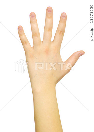 hand hand 15575550