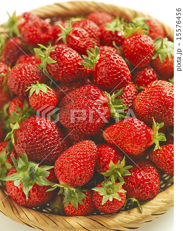 いちご いちご 15576456