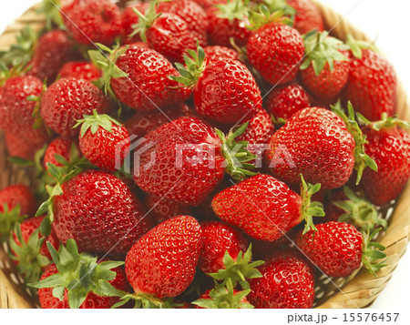 いちご いちご 15576457
