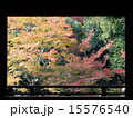 常寂光寺　紅葉 15576540