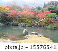 常寂光寺　紅葉 15576541