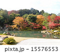 常寂光寺　紅葉 15576553