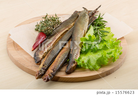 Lamprey Lamprey 15576623
