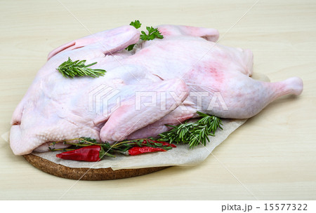 Raw duck 15577322