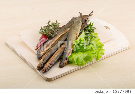 Lamprey Lamprey 15577993