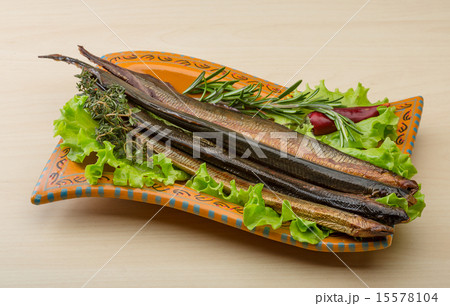 Lamprey Lamprey 15578104